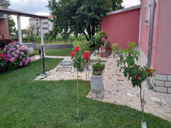 Apartmani Apartmani.Dragica Poreč